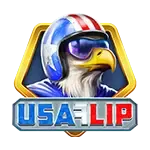 USA Flip screenshot